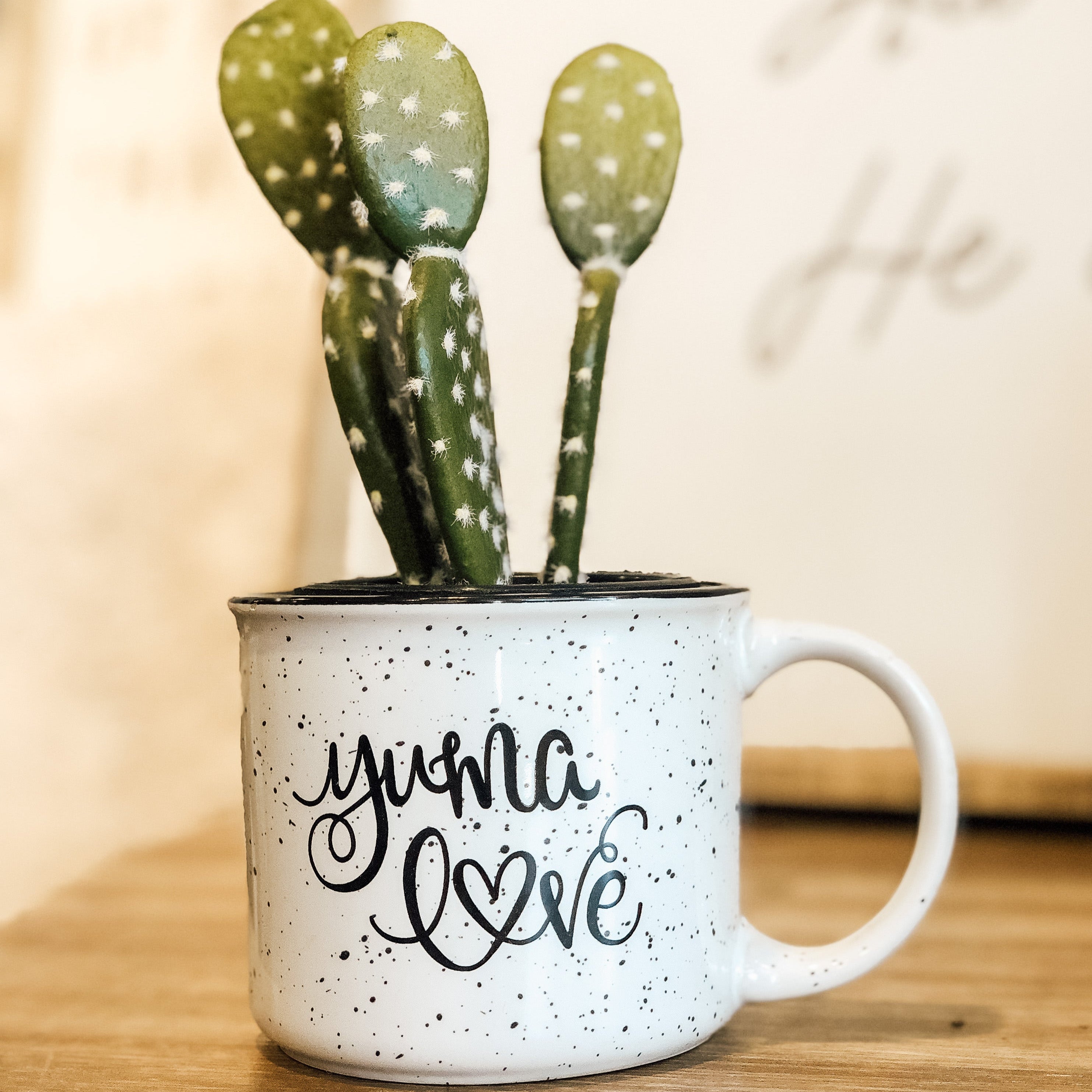 Yuma Love Mug