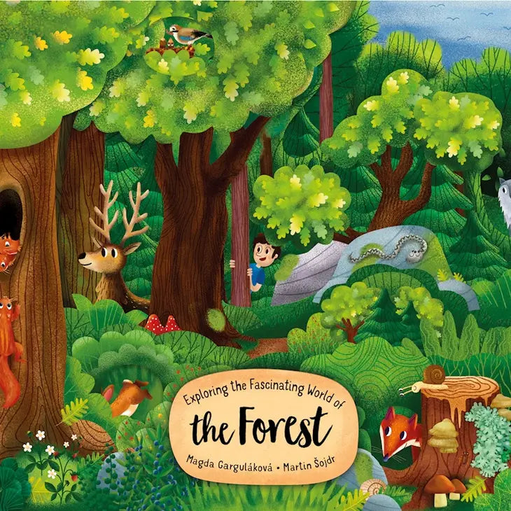World of the Forest- Board Book