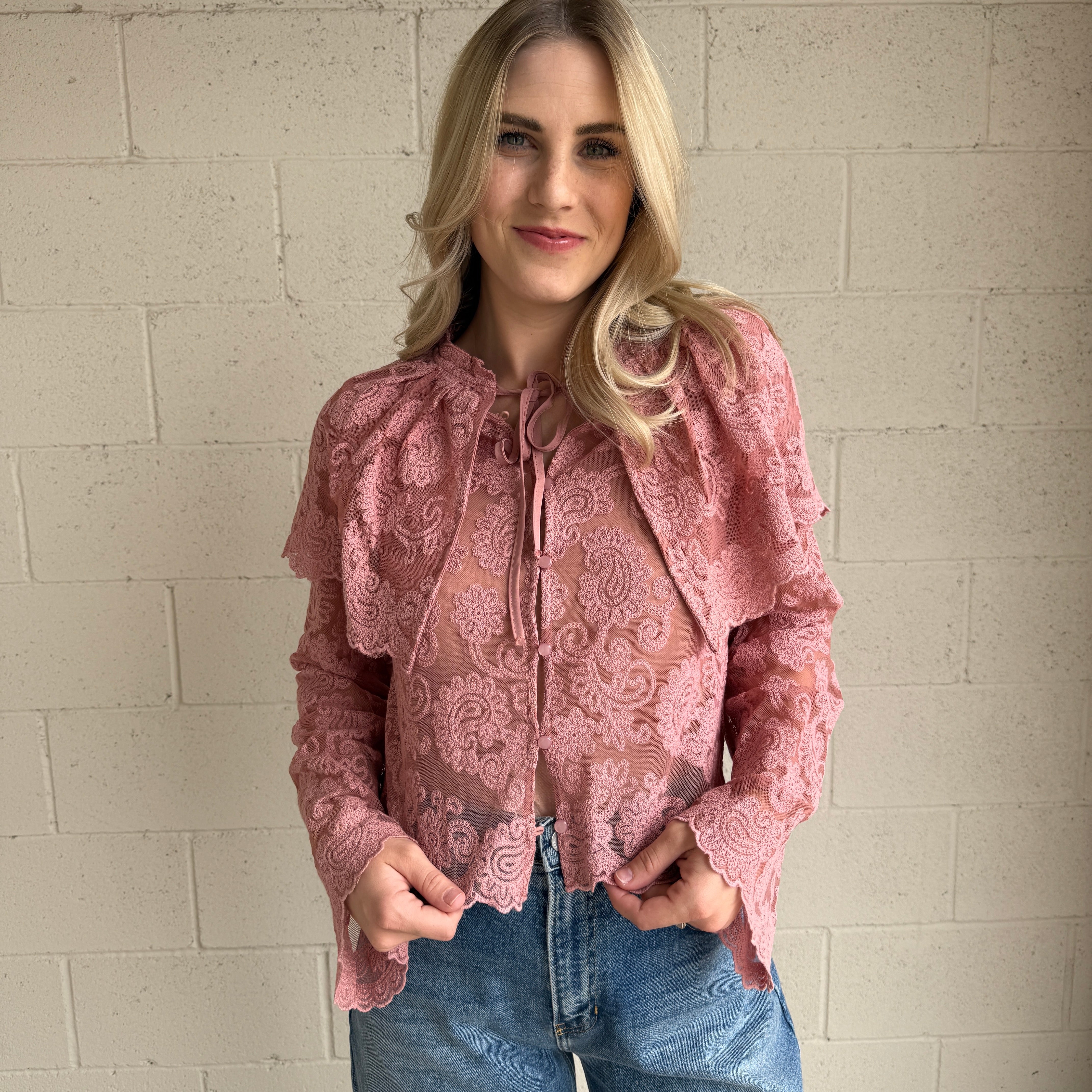 Blush Sheer Embroidered Collared Top