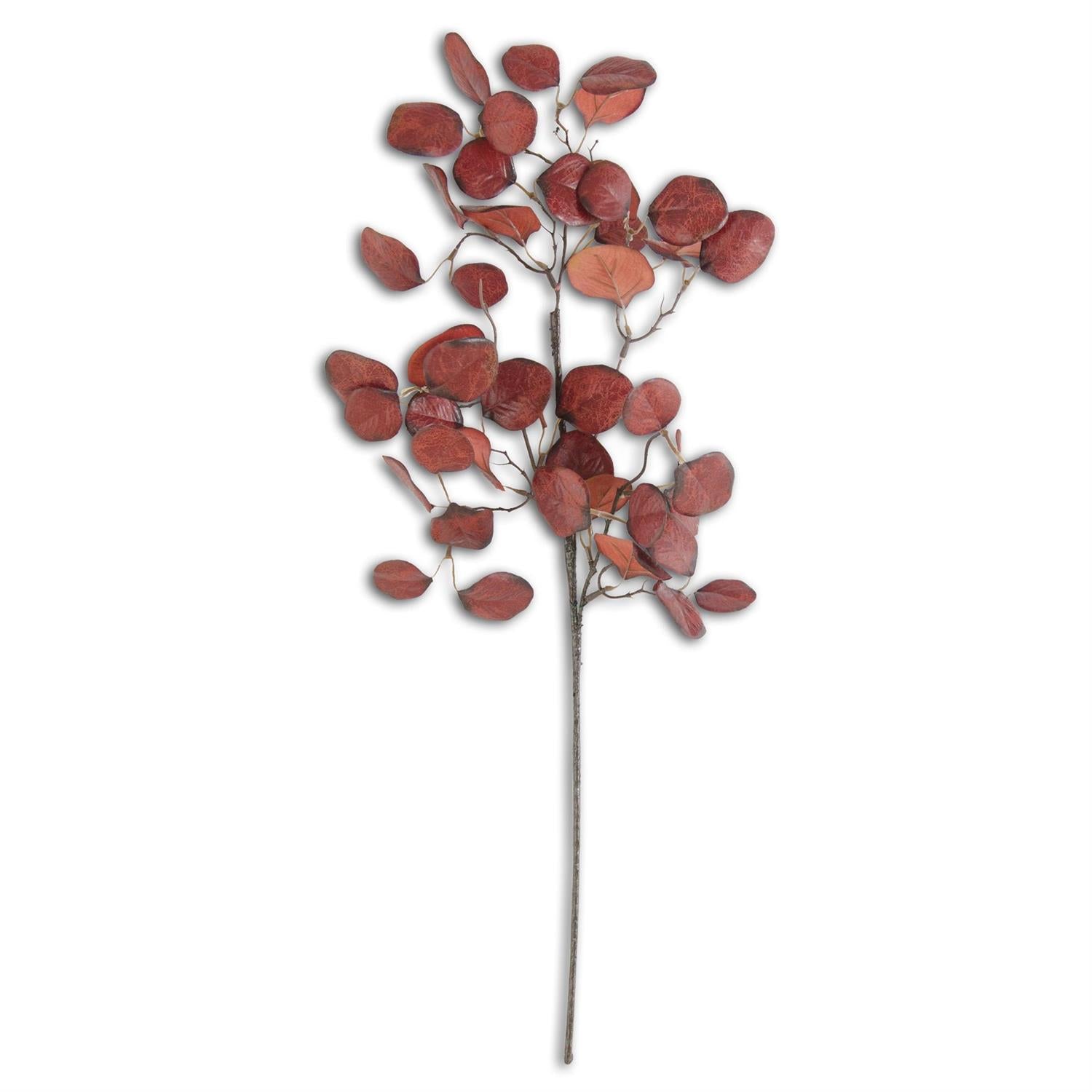 Burgundy Eucalyptus Stem