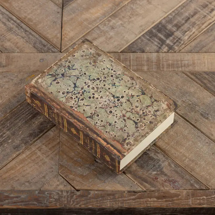 Life of James Garfield Journal