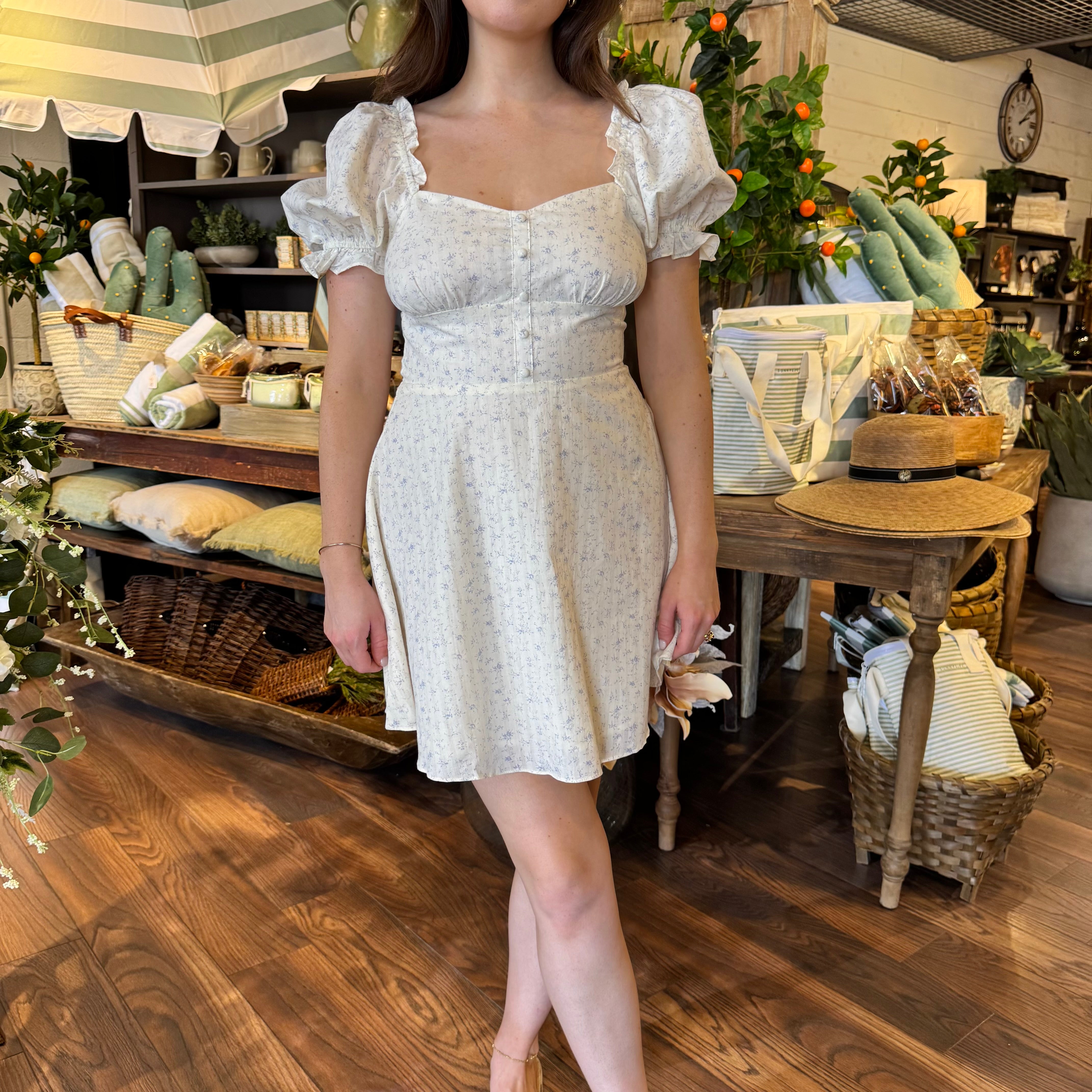 Blue Floral Cream Mini  Dress