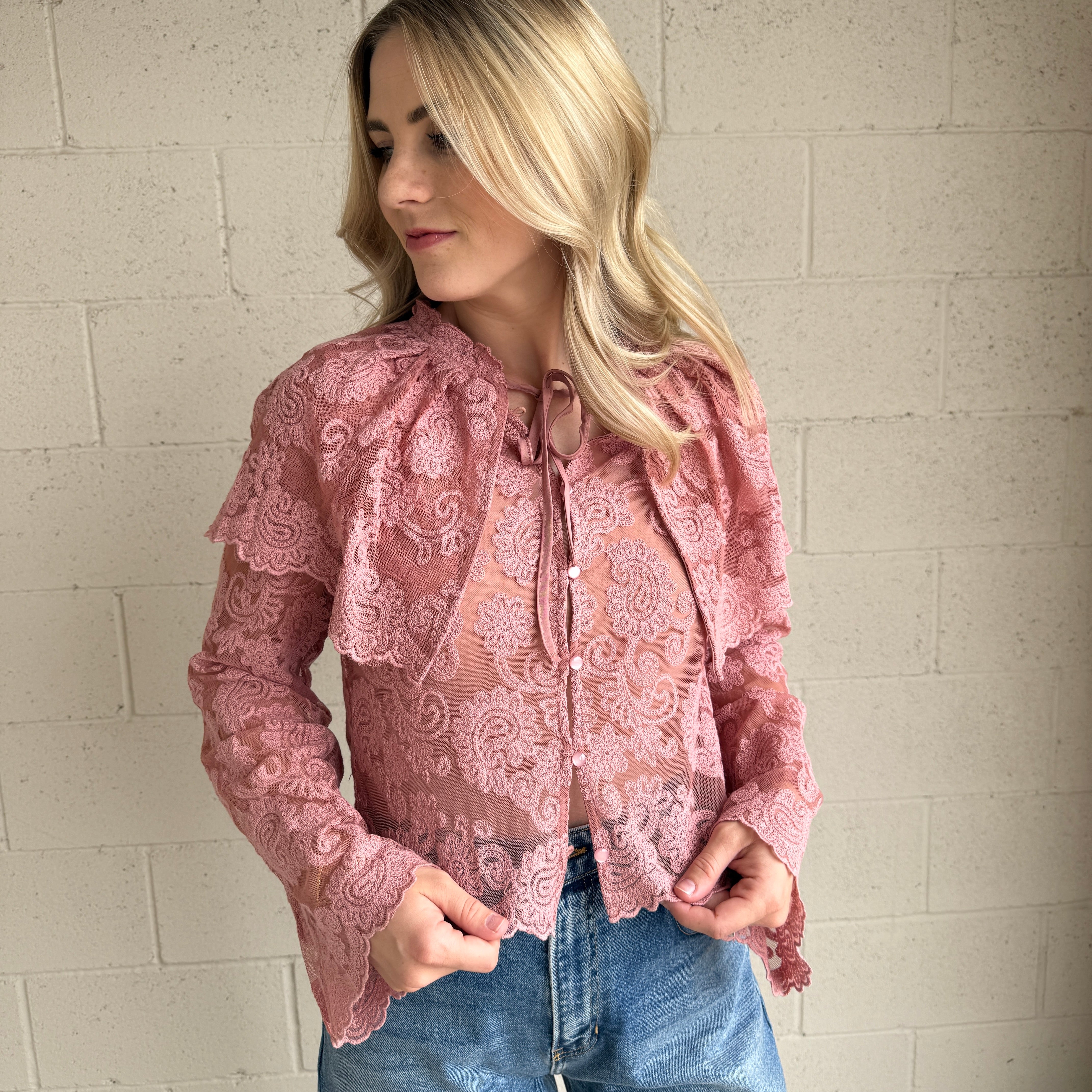 Blush Sheer Embroidered Collared Top