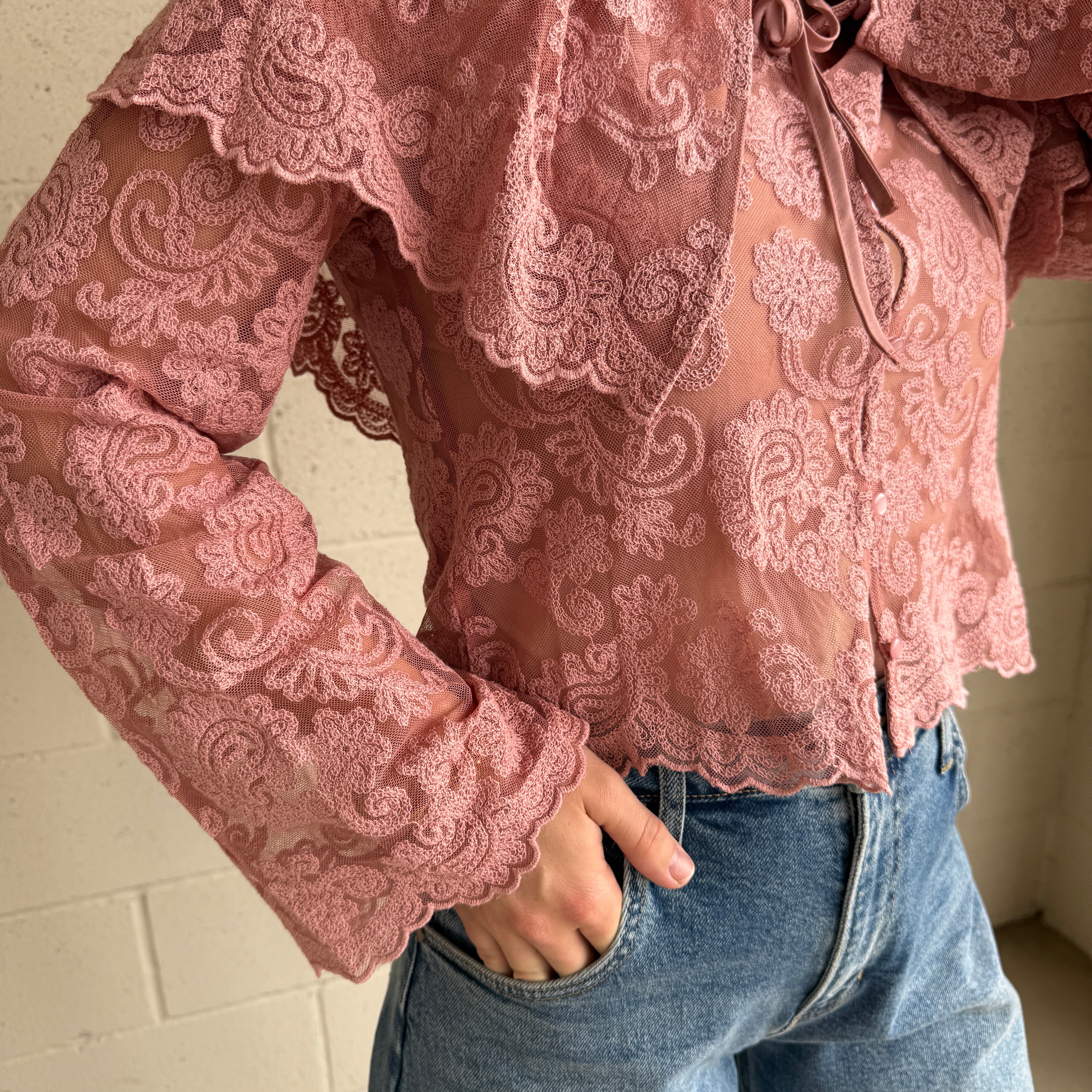 Blush Sheer Embroidered Collared Top