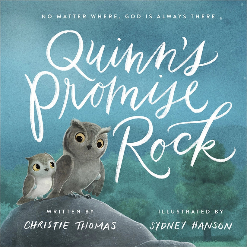 Quinn's Promise Rock Children's Book