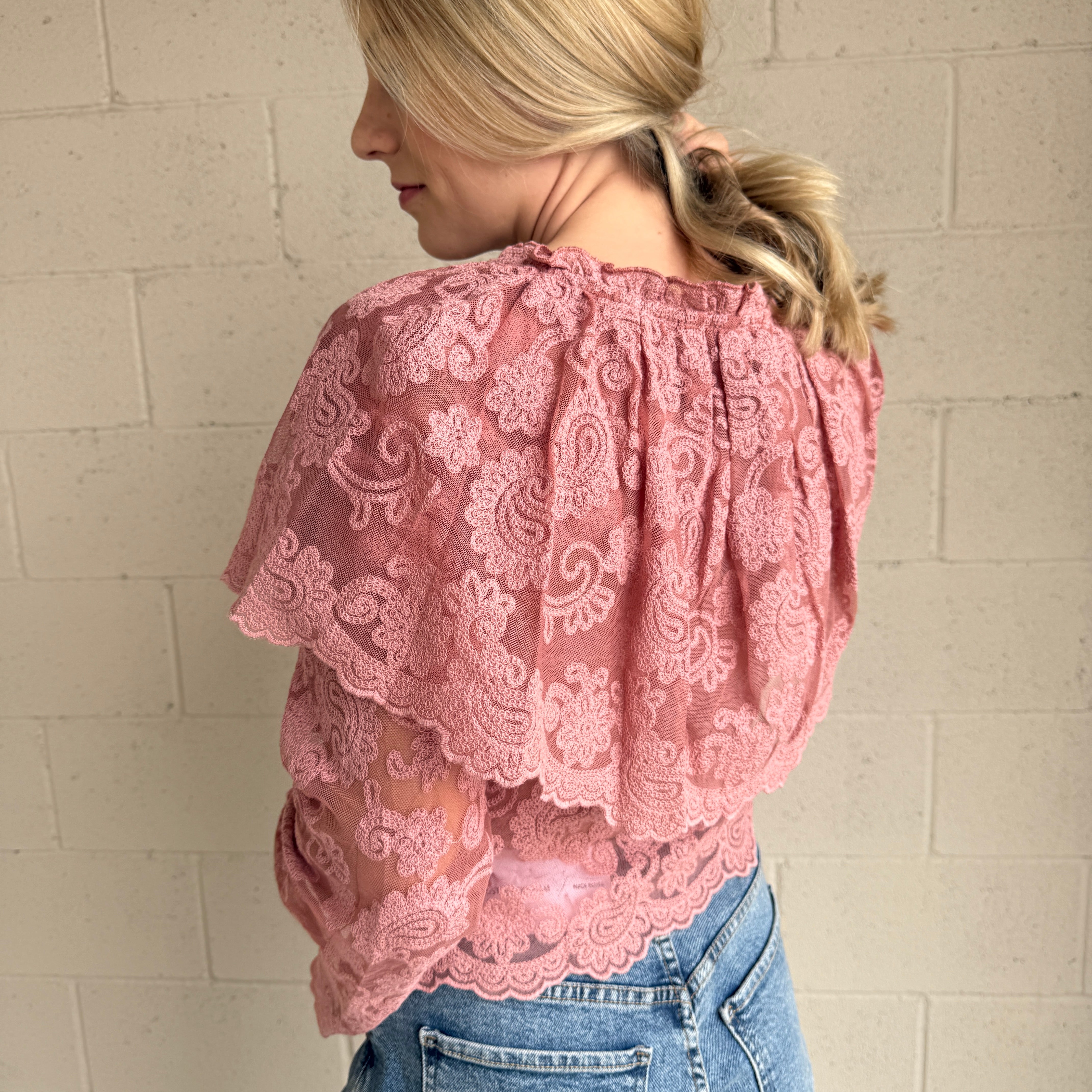 Blush Sheer Embroidered Collared Top