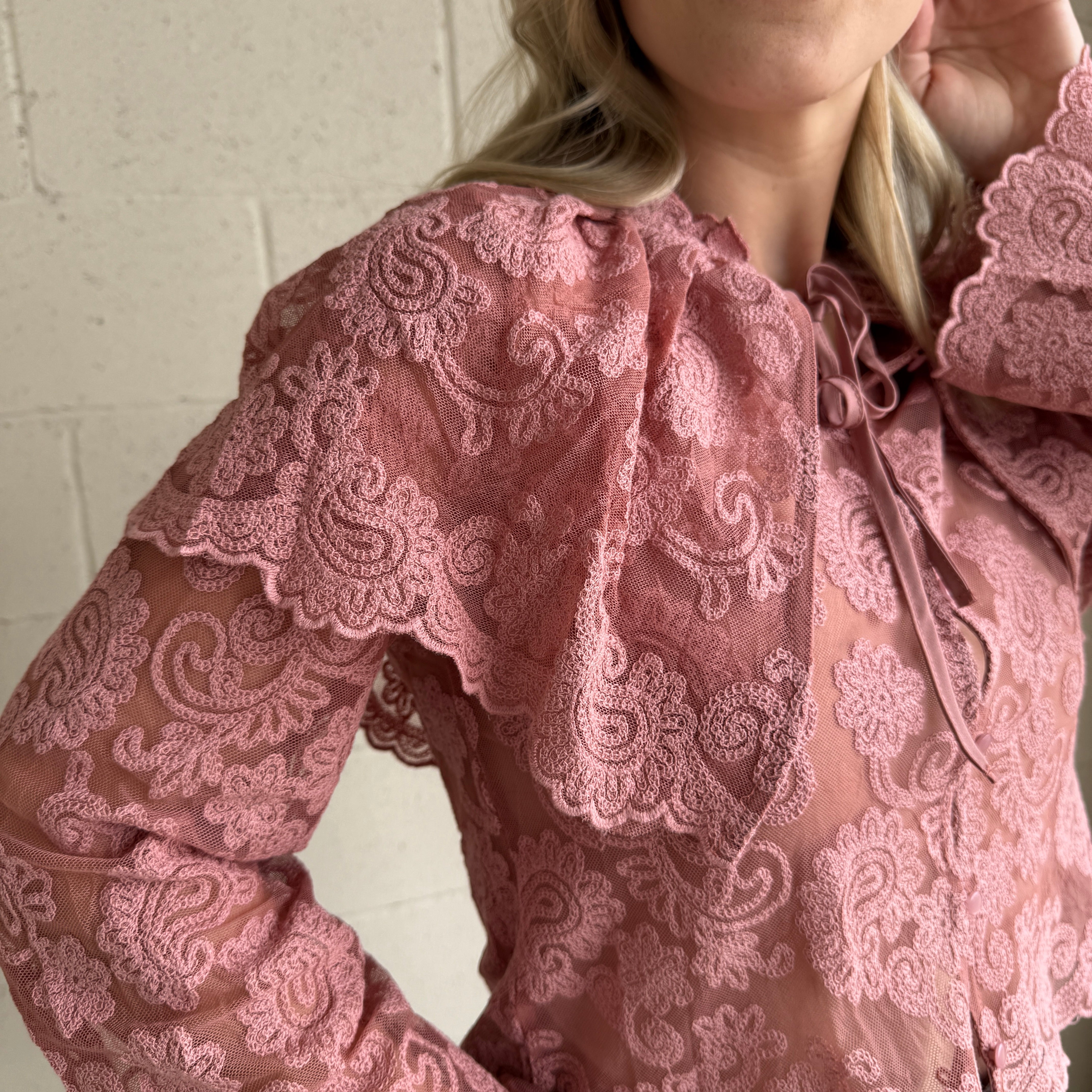 Blush Sheer Embroidered Collared Top
