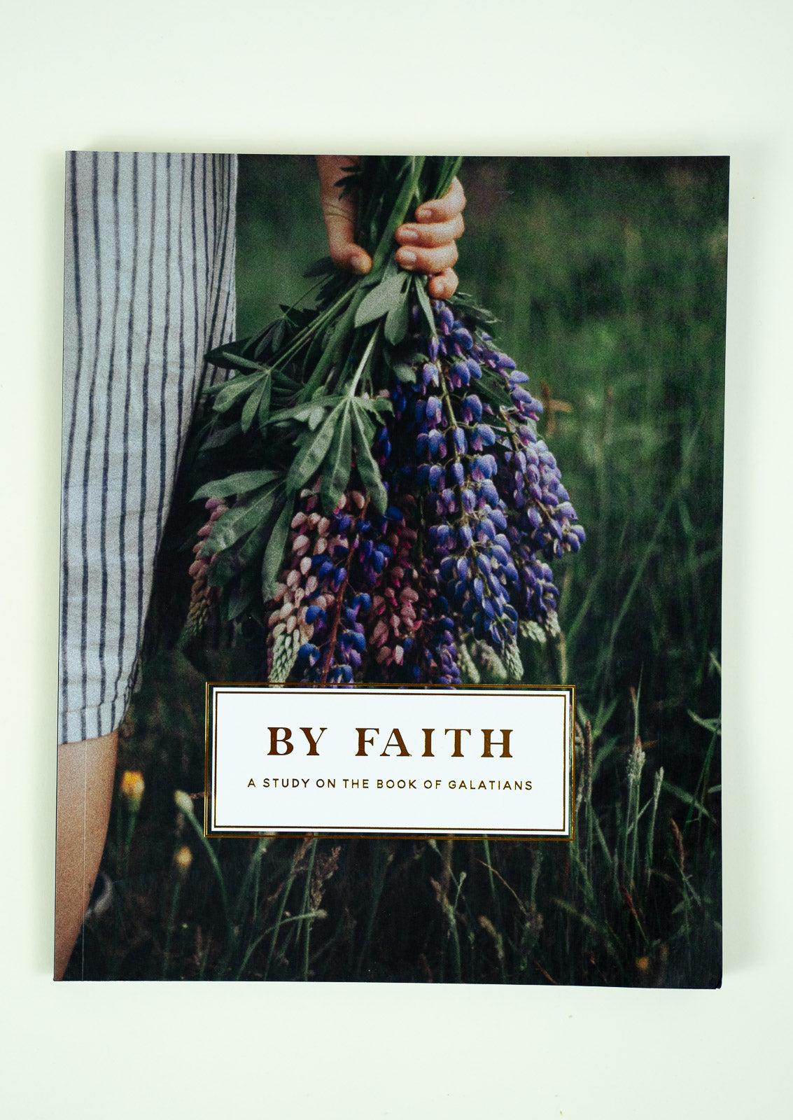 By Faith | Galatians Study