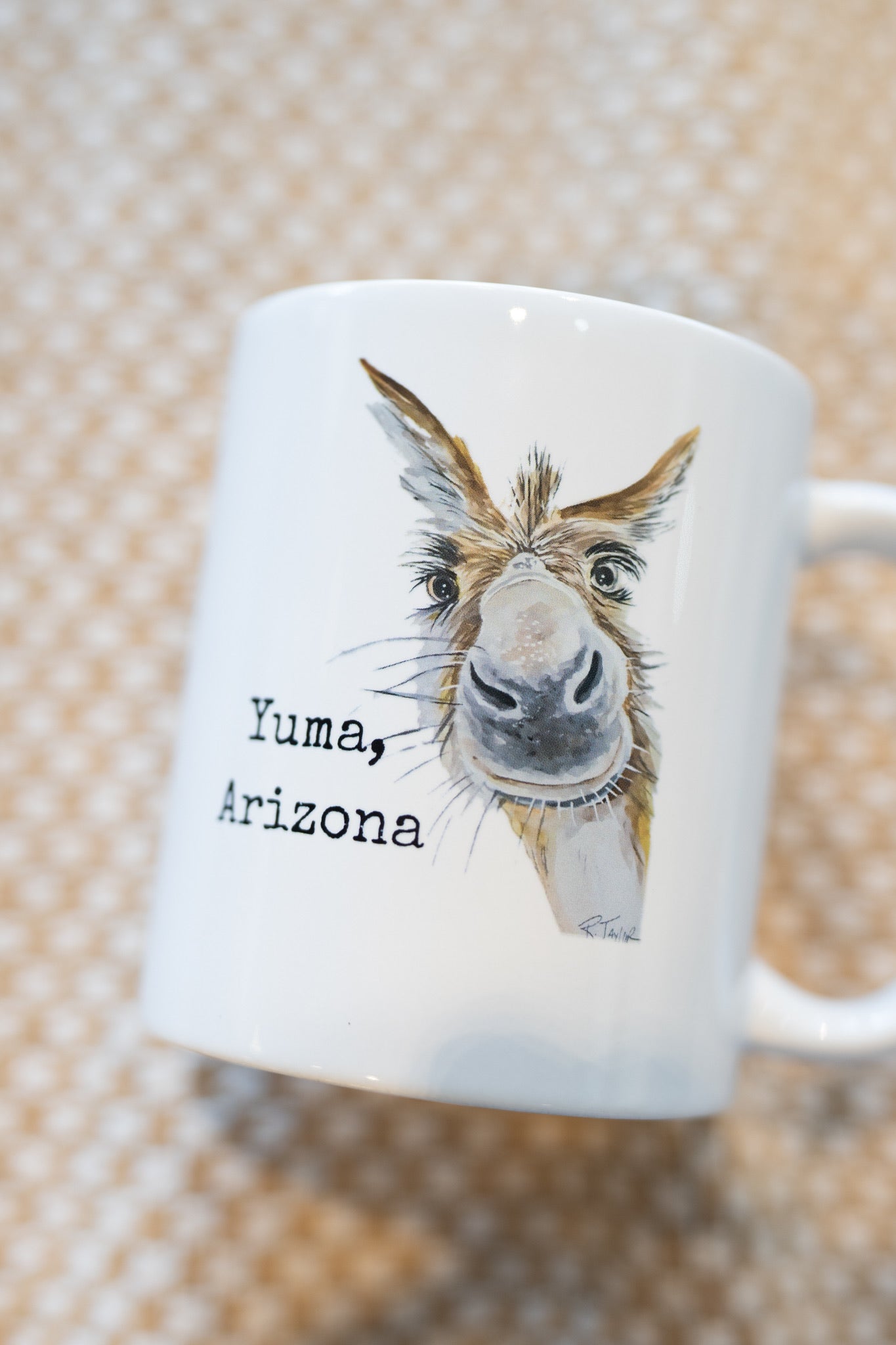 Yuma AZ Donkey Mug