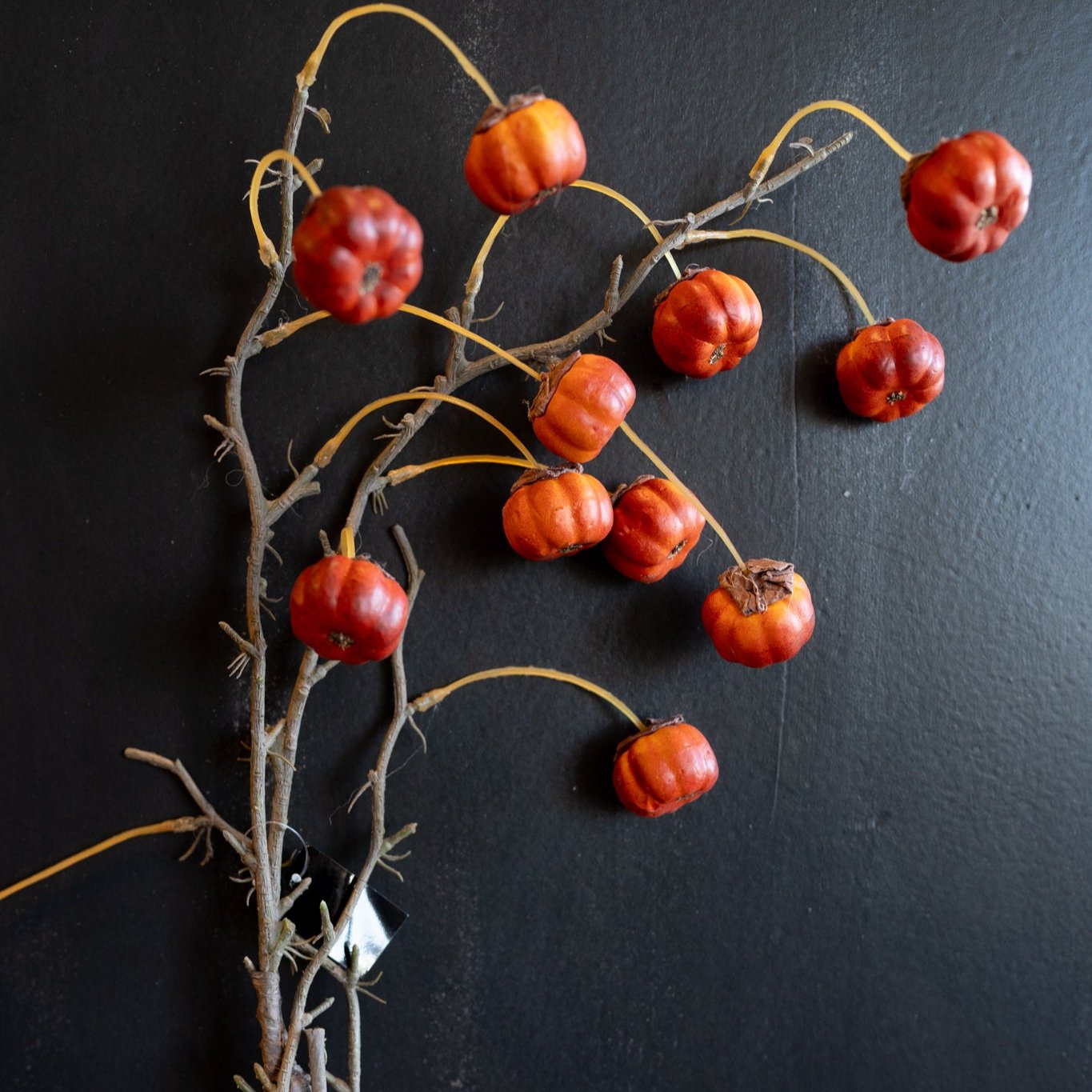 Mini Pumpkin Branch