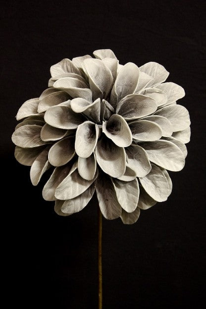 Grey Flower Stem
