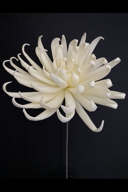 Cream Foam Flower