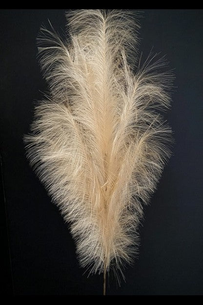 Natural Feather Stem