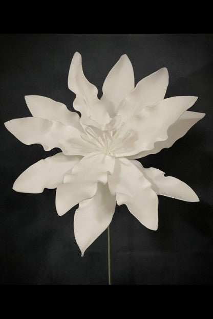 White Foam Flower