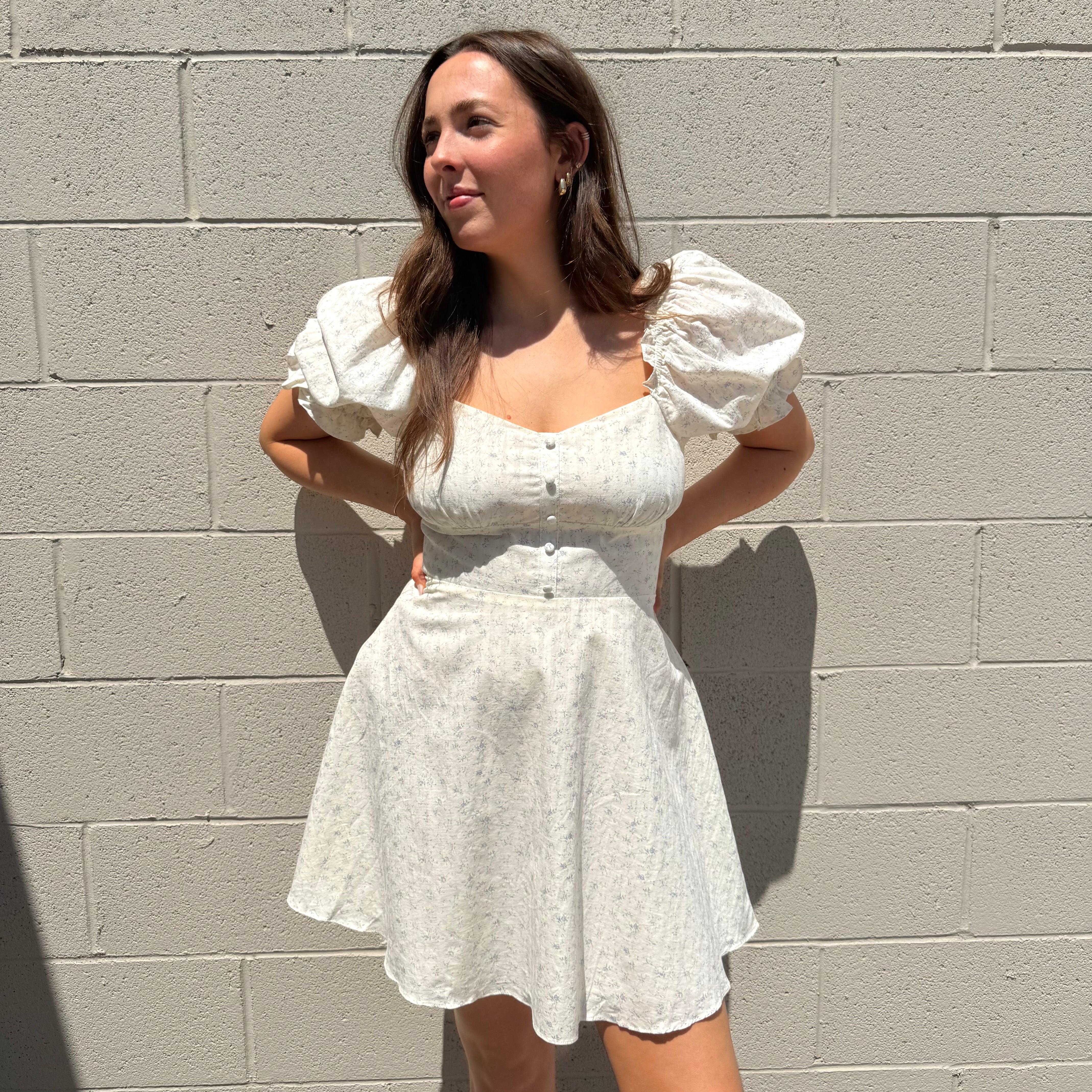 Blue Floral Cream Mini  Dress