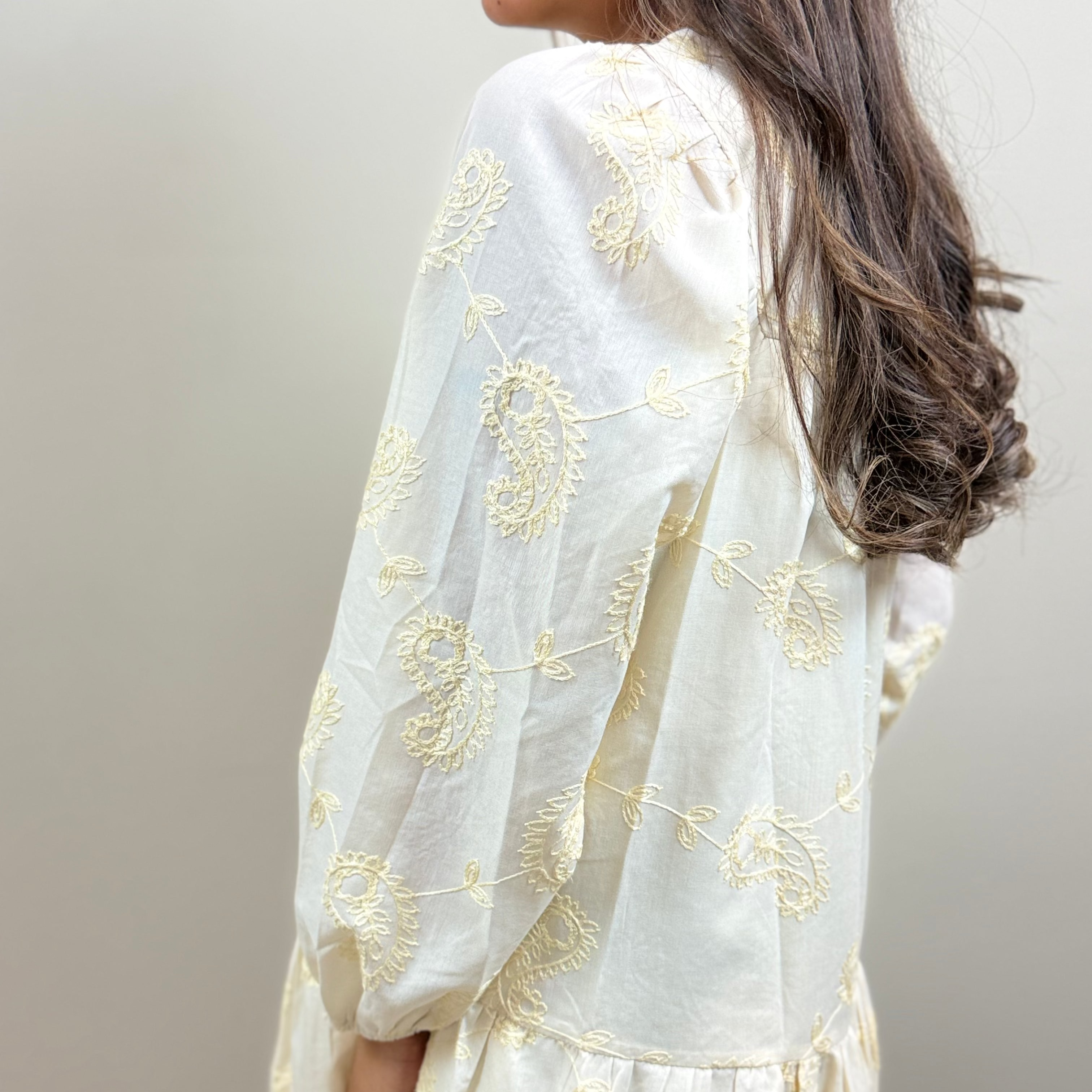 Embroidered Paisley Cotton Mini Dress