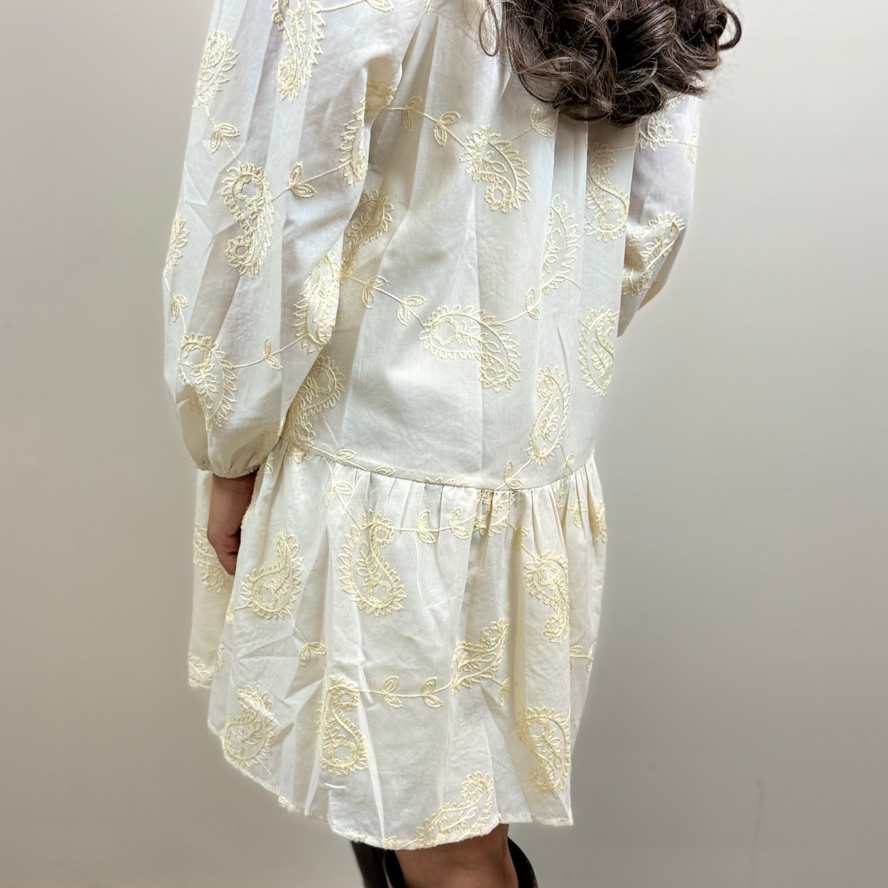 Embroidered Paisley Cotton Mini Dress