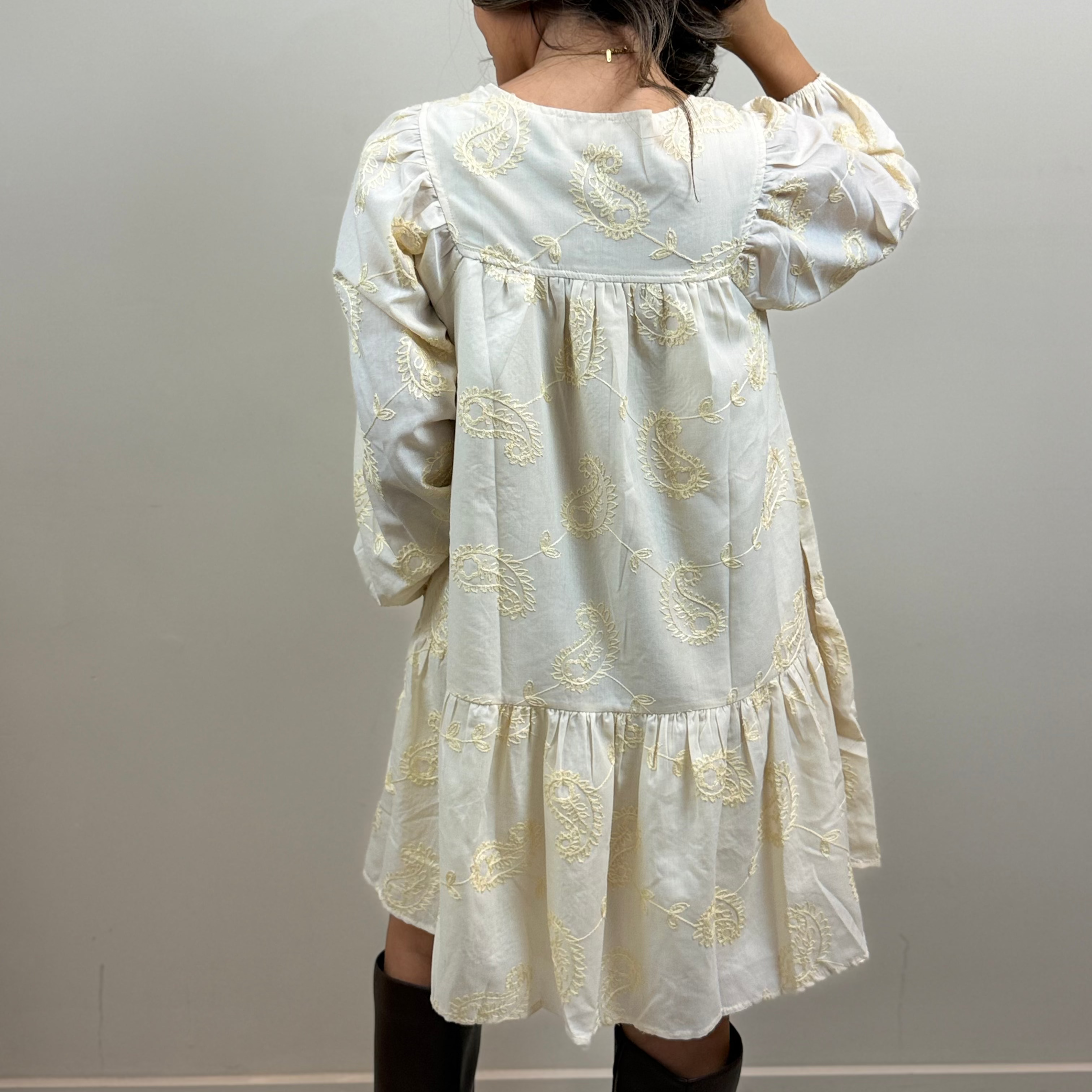 Embroidered Paisley Cotton Mini Dress