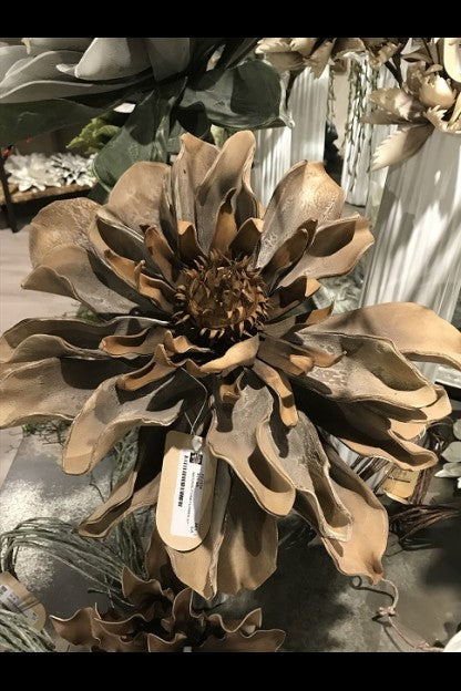 Large Cone-Centered Flower Stem