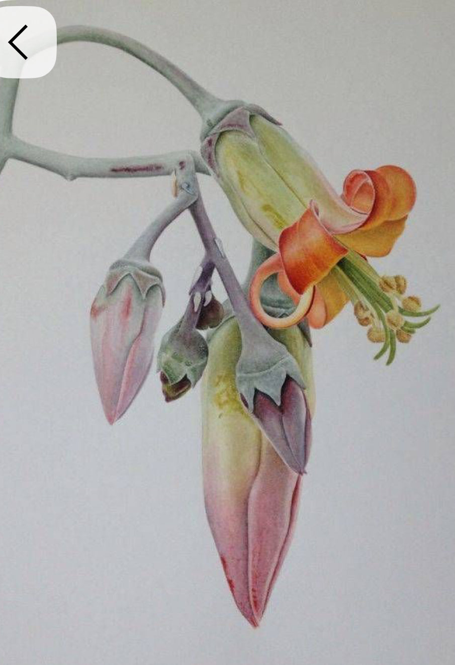 October Watercolor Workshop