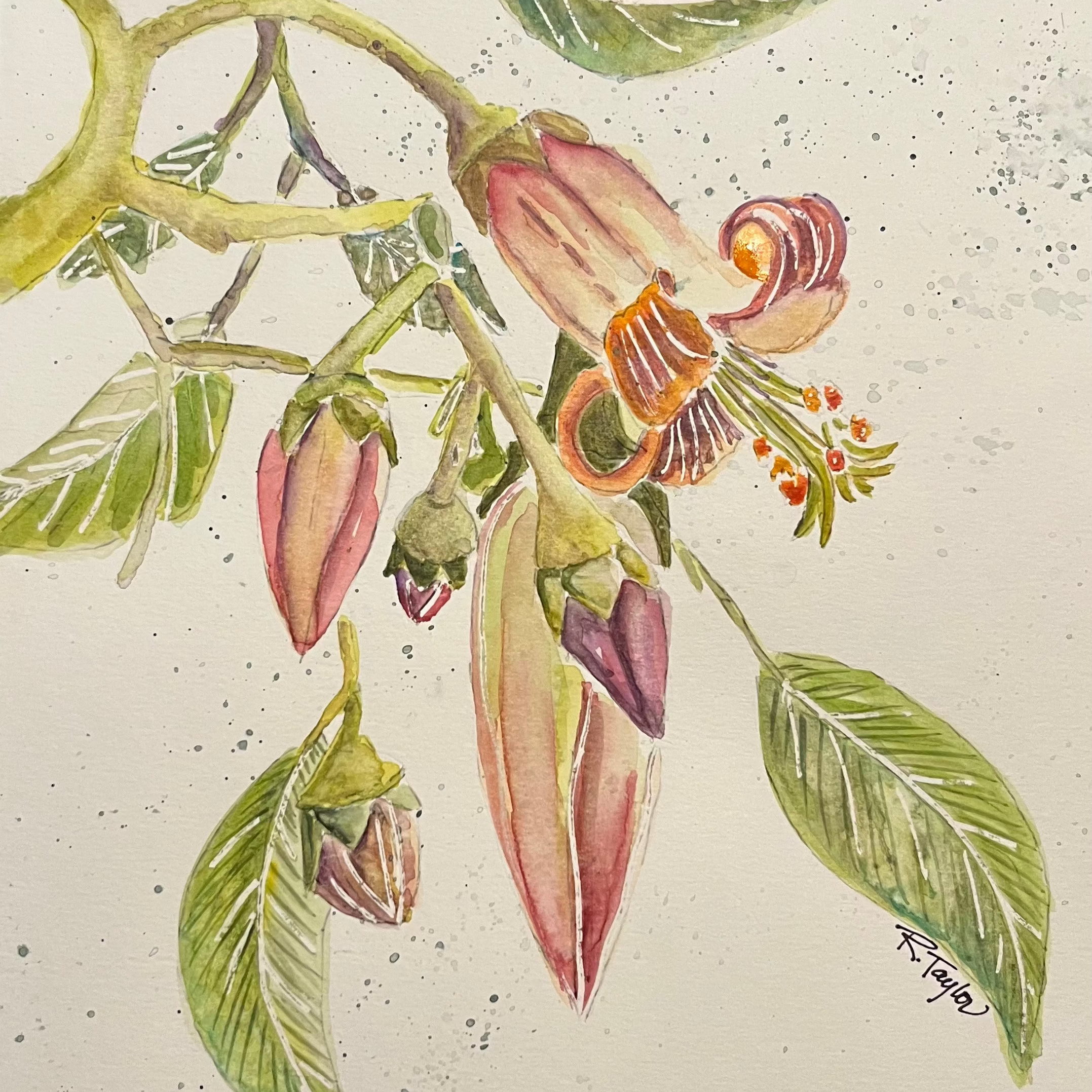 October Watercolor Workshop
