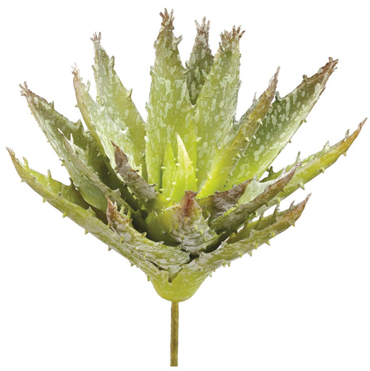 6.5" Aloe Pick