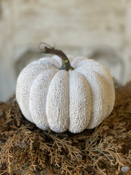 White Textured Pumpkin