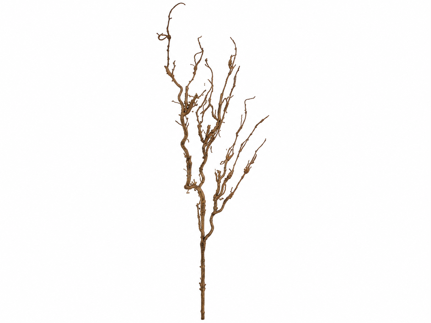 43" Brown Twig Spray