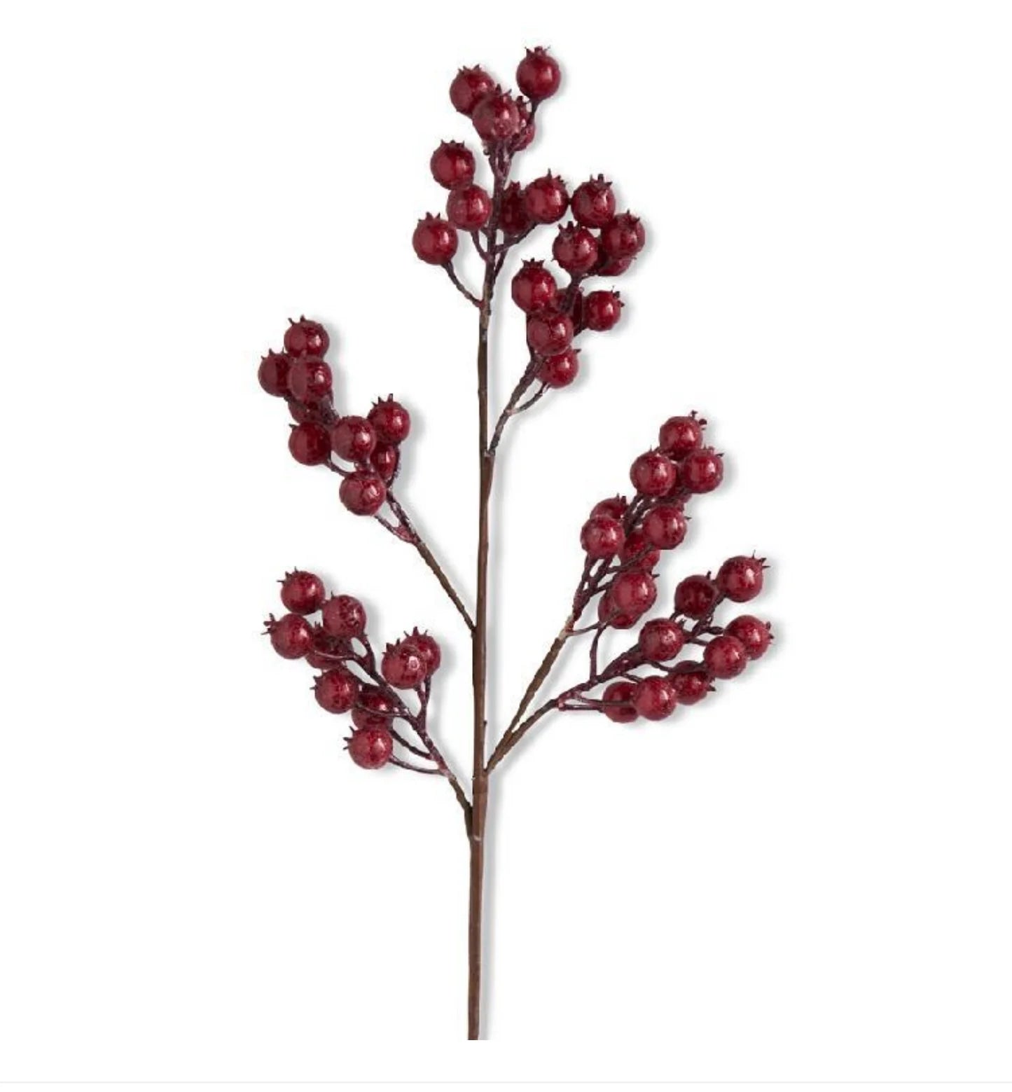 Red Crackle Glitter Rosehip Stem