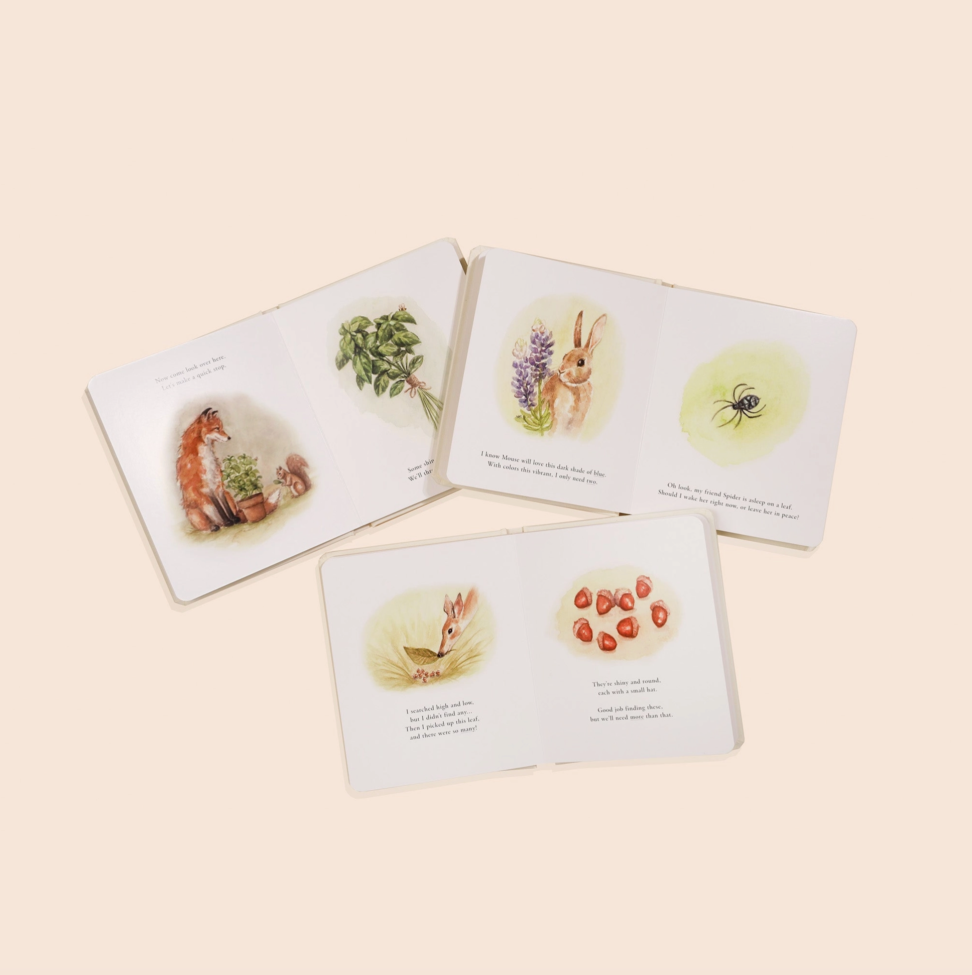 Our Little Adventure Box Set for Kids