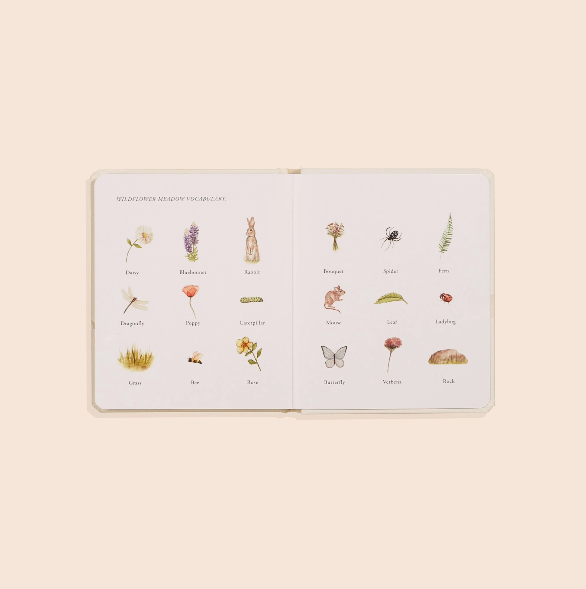 Our Little Adventure Box Set for Kids