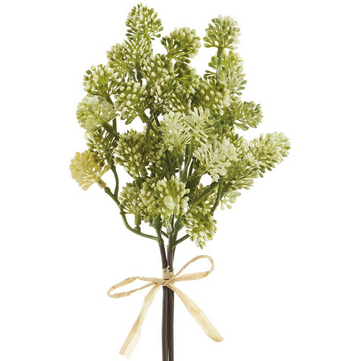 11" Green Sedum Bundle