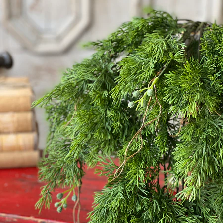 34" Dripping Cedar Hanging