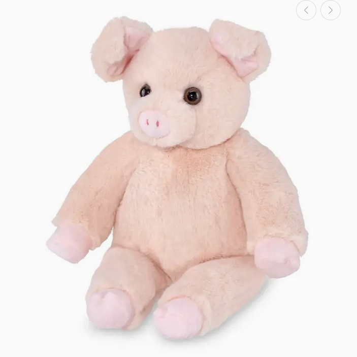 Oinkers the Pig