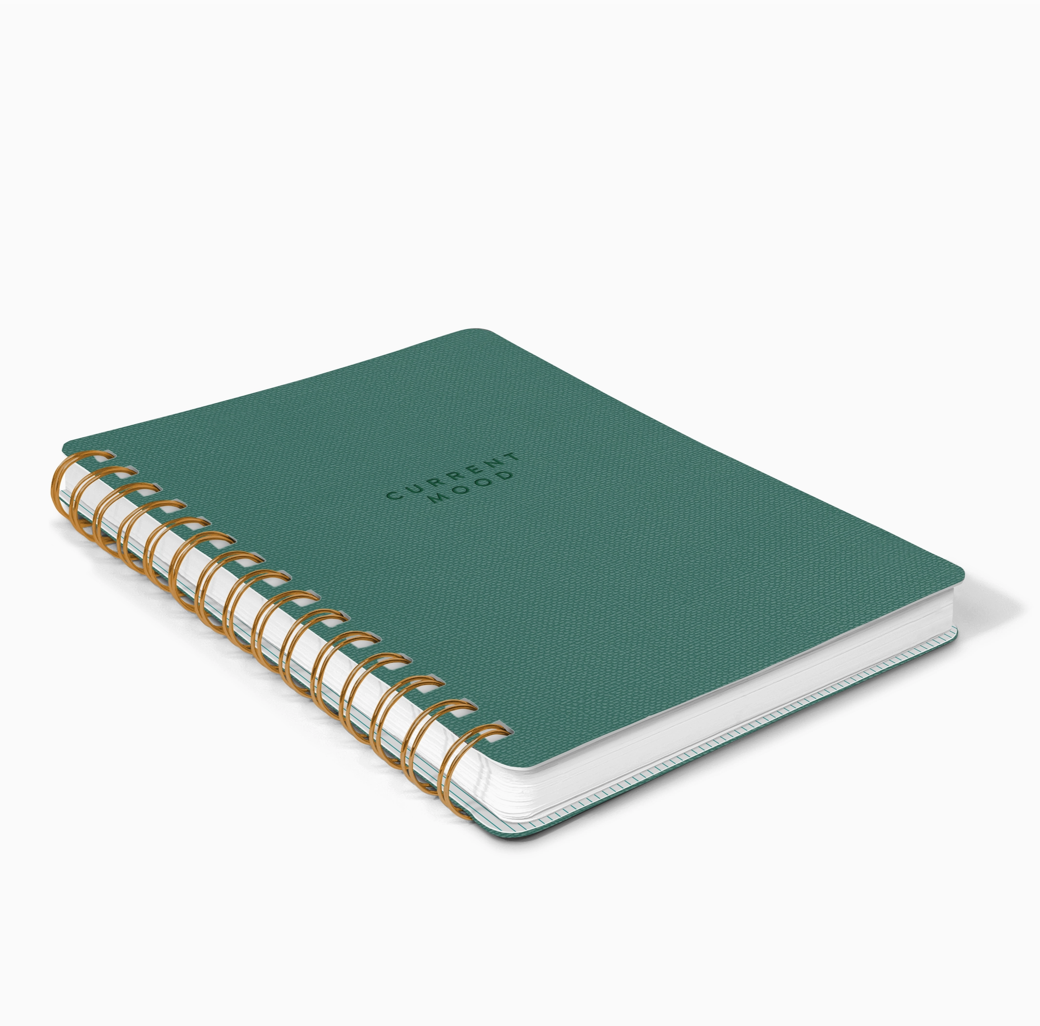 Current Mood Notebook