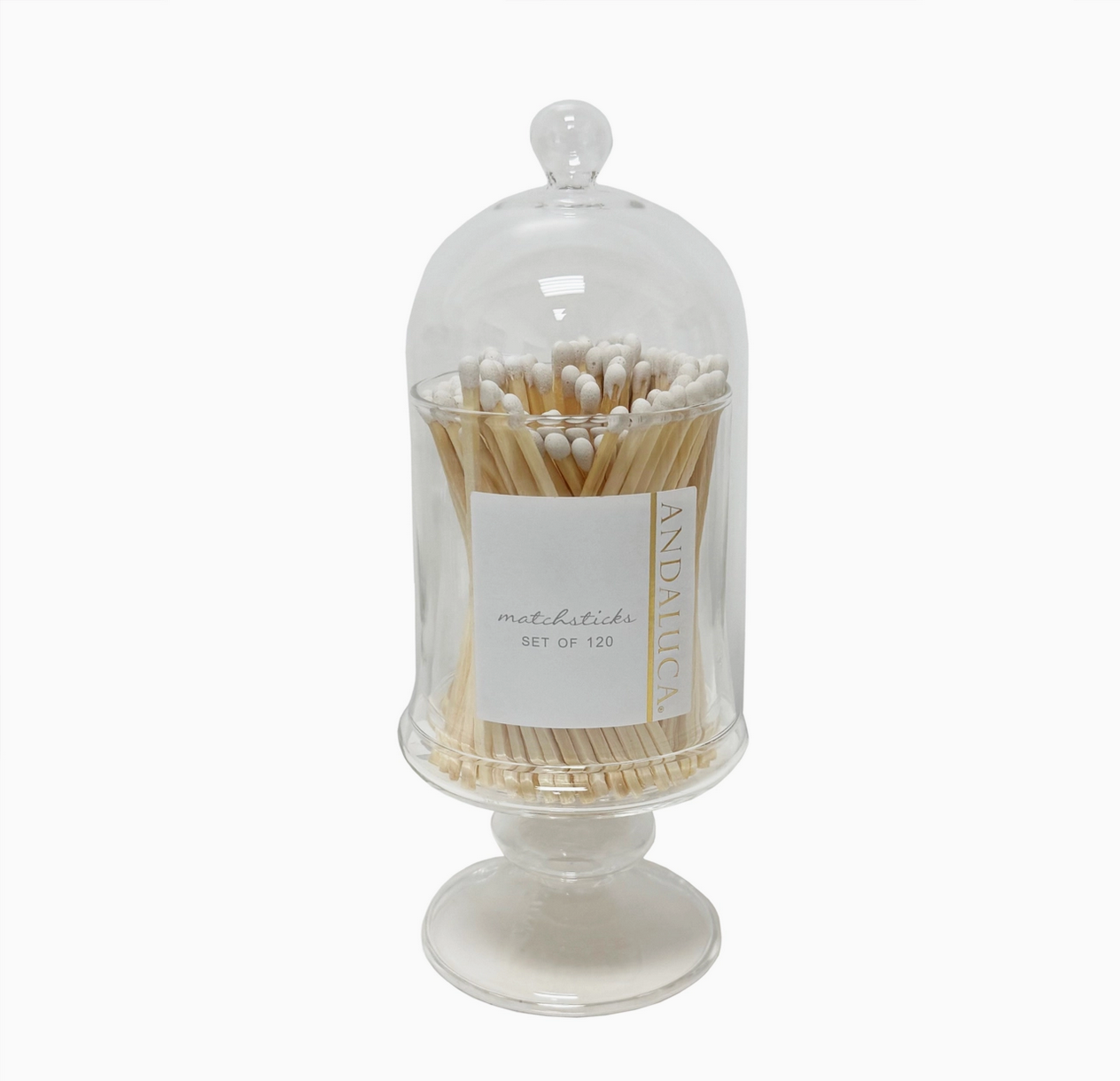 Glass Cloche W/ Matches