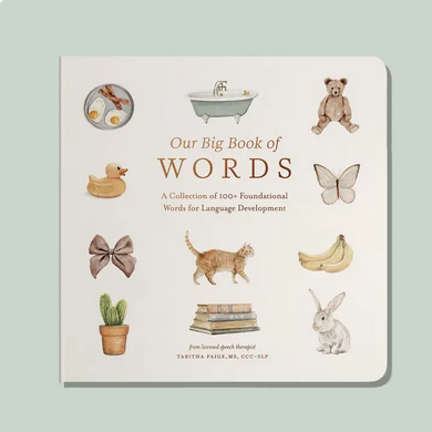 Our Big Book of First Words - Board Book