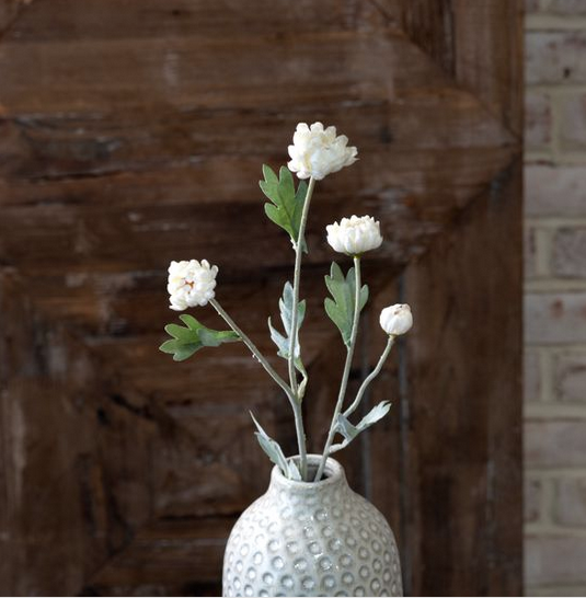 23" White Kalanchoe Stem