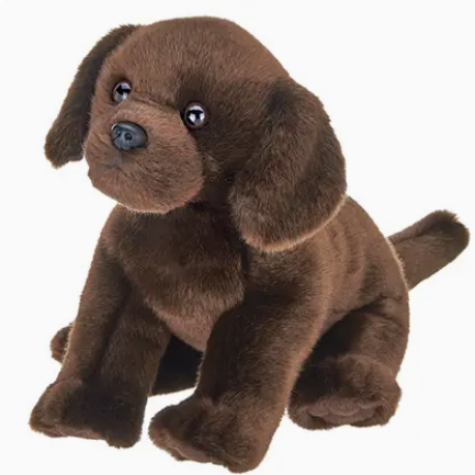 Brody the Chocolate Lab