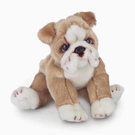 Tug the Bulldog