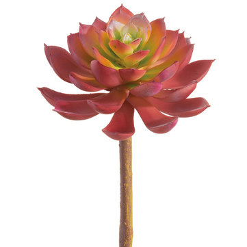 7" Real Touch Echeveria Pick
