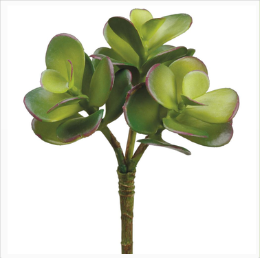 Jade Succulent Pick