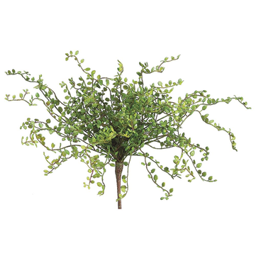 15" Button Leaf Bush