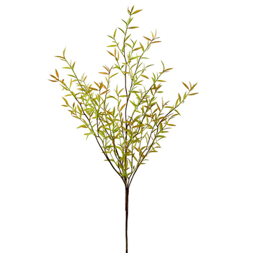 Myrtle Spray