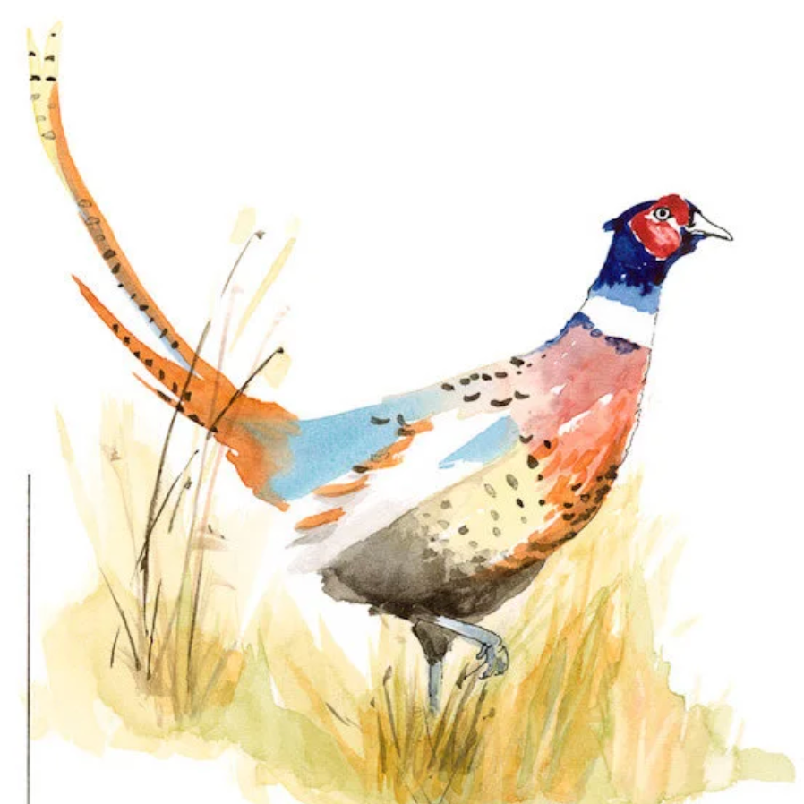 September Watercolor Workshop 2026