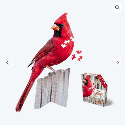 I AM CARDINAL 300 Puzzle