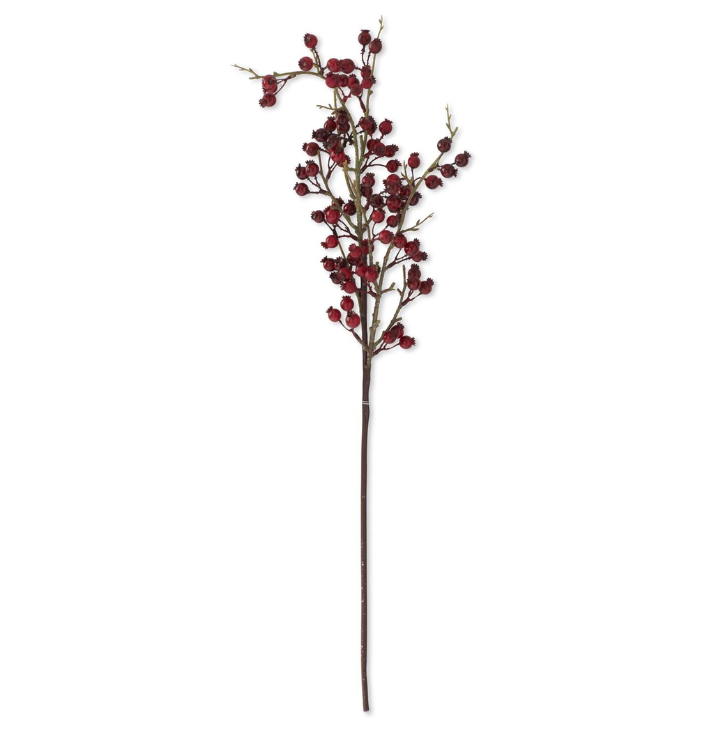 31" Red Berry Twig Stem
