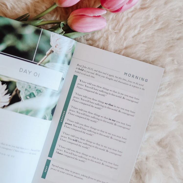 Meditations For Anxiety