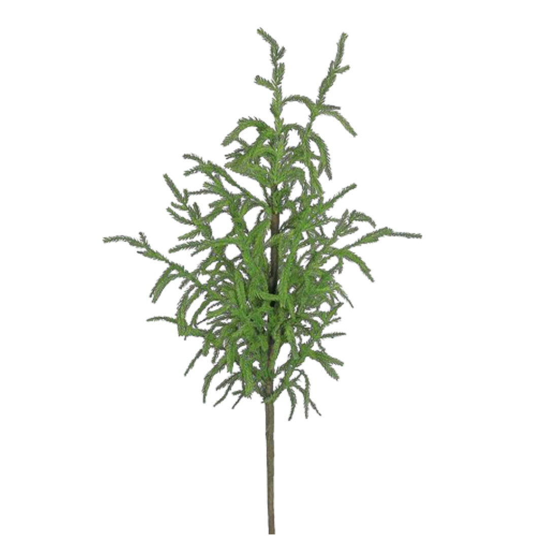 36" Norfolk Pine Spray