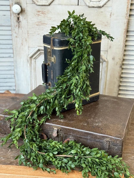 6' Nottswood Leaves Garland